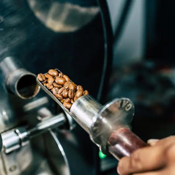 Templar's Oath | Dark Roast Whole Bean Coffee 12oz - Image 9
